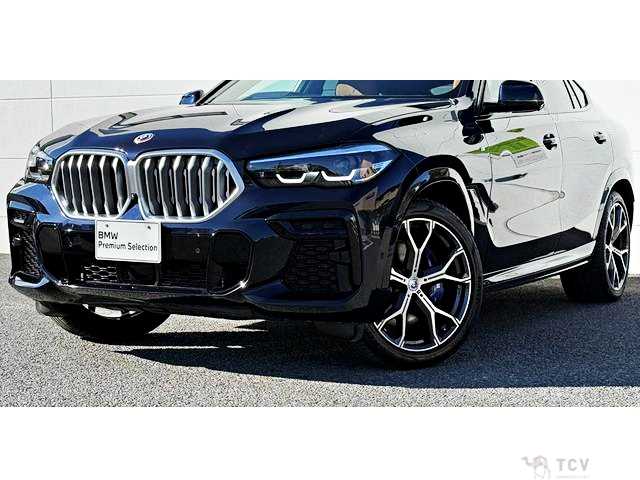 2023 BMW X6