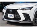2022 Lexus NX