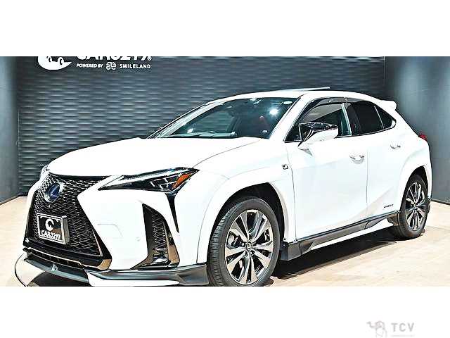 2021 Lexus Other