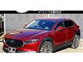 2019 Mazda CX-3