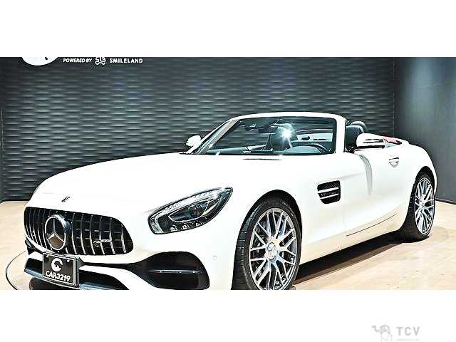 2017 Mercedes-Benz AMG GT