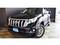 2017 Toyota Land Cruiser Prado