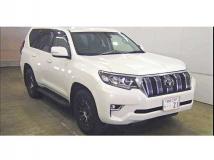 2019 Toyota Land Cruiser Prado