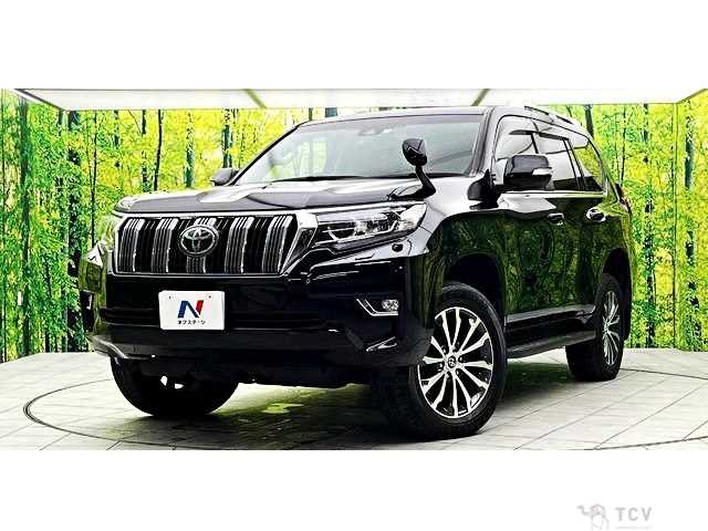 2019 Toyota Land Cruiser Prado