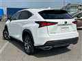 2019 Lexus NX