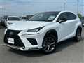 2019 Lexus NX