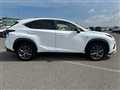 2019 Lexus NX
