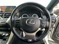 2019 Lexus NX