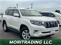 2019 Toyota Land Cruiser Prado