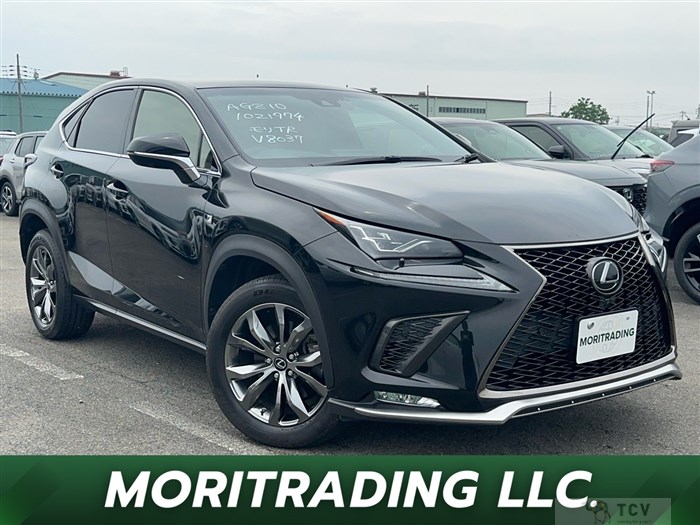 2019 Lexus NX