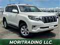 2019 Toyota Land Cruiser Prado