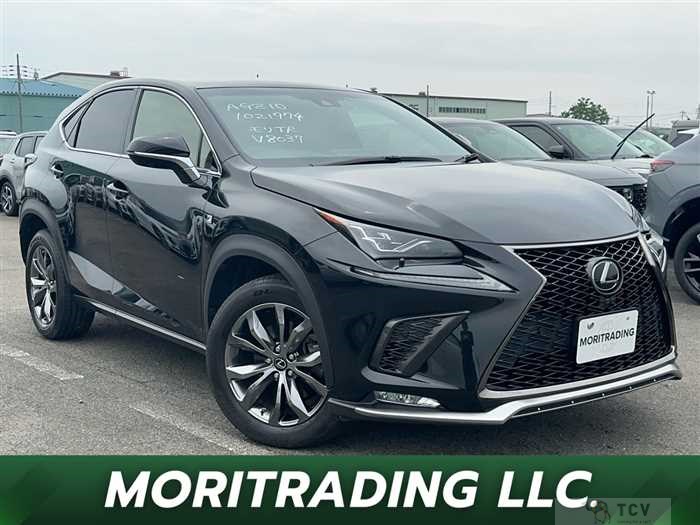 2019 Lexus NX