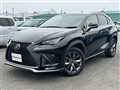 2019 Lexus NX