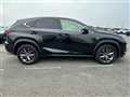 2019 Lexus NX