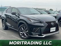 2019 Lexus NX