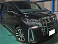 2016 Toyota Alphard G
