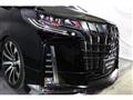 2019 Toyota Alphard G