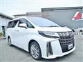 2023 Toyota Alphard G