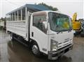 2013 Isuzu Elf Truck