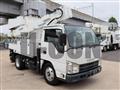 2012 Isuzu Elf Truck