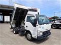 2017 Isuzu Elf Truck