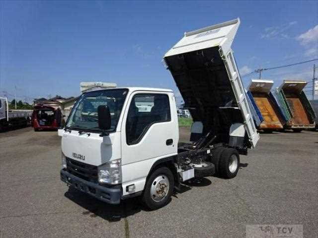 2019 Isuzu Elf Truck