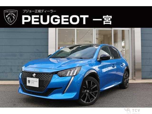 2020 Peugeot Peugoet Others