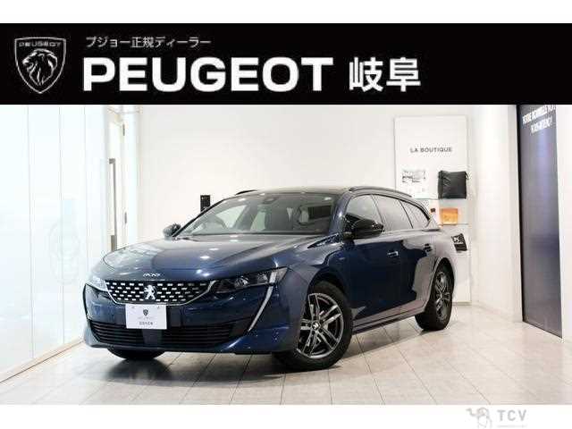 2020 Peugeot Peugoet Others