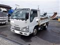 2019 Isuzu Elf Truck