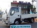 2020 Isuzu Elf Truck