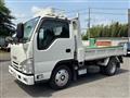 2020 Isuzu Elf Truck