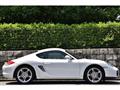 2010 Porsche Cayman