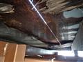 2007 Mitsubishi Fuso Canter Guts