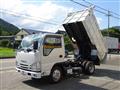 2019 Isuzu Elf Truck