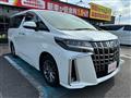 2020 Toyota Alphard G