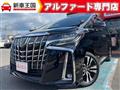 2019 Toyota Alphard G