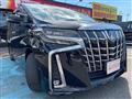2019 Toyota Alphard G