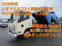 2017 Isuzu Elf Truck
