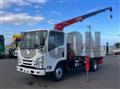 2020 Isuzu Elf Truck