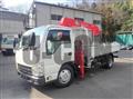 2010 Isuzu Elf Truck