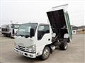 2019 Isuzu Elf Truck
