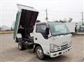 2019 Isuzu Elf Truck
