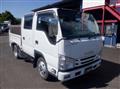 2019 Isuzu Elf Truck