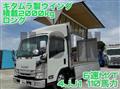 2017 Isuzu Elf Truck