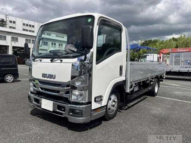 2019 Isuzu Elf Truck