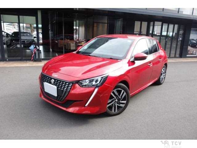 2020 Peugeot Peugoet Others