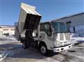 2013 Isuzu Elf Truck