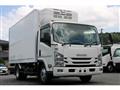 2019 Isuzu Elf Truck