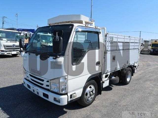 2017 Isuzu Elf Truck