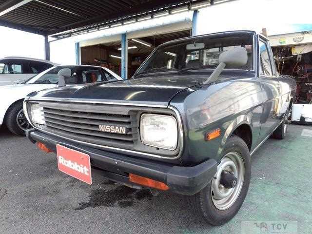 1991 Nissan Sunny Truck